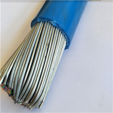 王泽章 中国通讯电缆行业的先驱与创新者